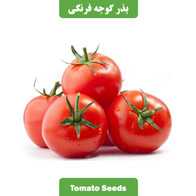 بذر گوجه فرنگی آبدار