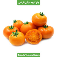 بذر گوجه فرنگی نارنجی بوته ای