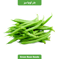 بذر لوبیا سبز