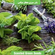 بذر سبزی معطر میکس